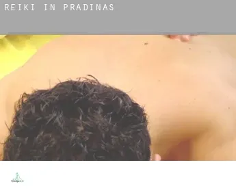 Reiki in  Pradinas