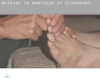 Massage in  Montceau-et-Écharnant