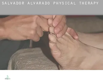 Salvador Alvarado  physical therapy