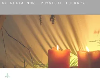 An Geata Mór  physical therapy