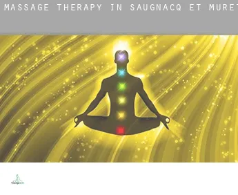 Massage therapy in  Saugnacq-et-Muret
