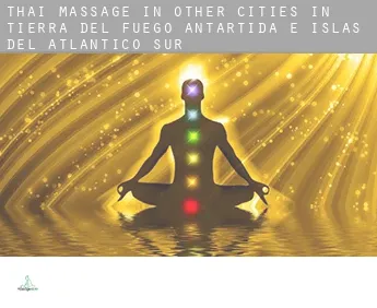 Thai massage in  Other cities in Tierra del Fuego, Antartida e Islas del Atlantico Sur