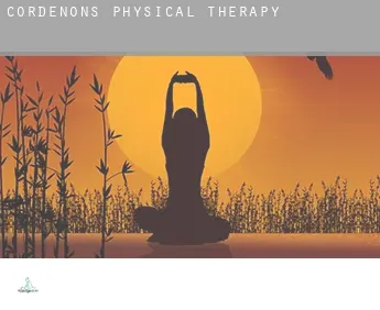 Cordenons  physical therapy