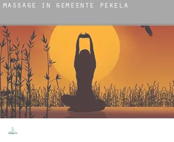 Massage in  Gemeente Pekela