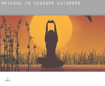 Massage in  Senador Guiomard