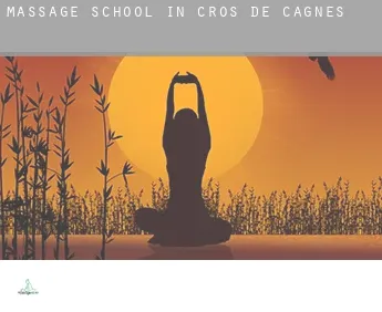 Massage school in  Cros-de-Cagnes