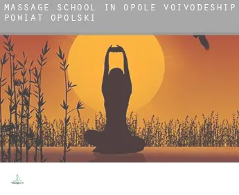 Massage school in  Powiat opolski (Opole Voivodeship)