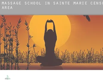 Massage school in  Sainte-Marie (census area)