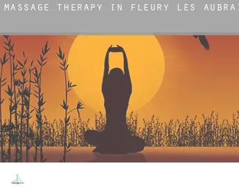 Massage therapy in  Fleury-les-Aubrais