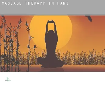 Massage therapy in  Hani