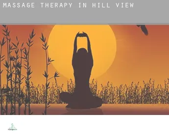 Massage therapy in  Hill View