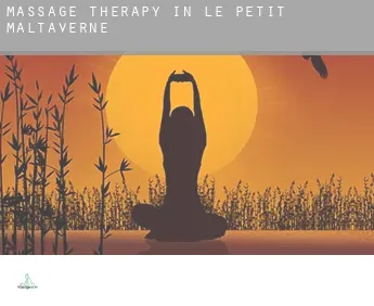 Massage therapy in  Le Petit Maltaverne