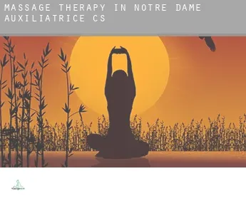 Massage therapy in  Notre-Dame-Auxiliatrice (census area)