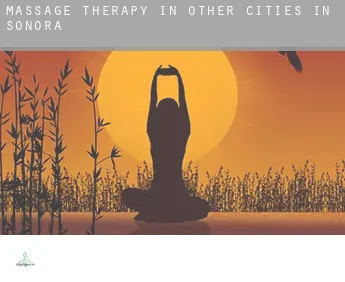 Massage therapy in  Other cities in Sonora