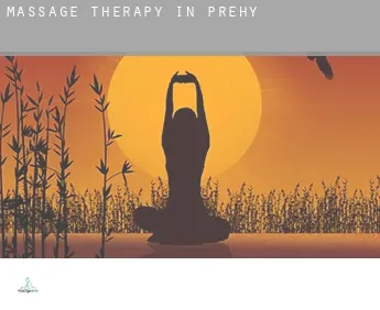 Massage therapy in  Préhy