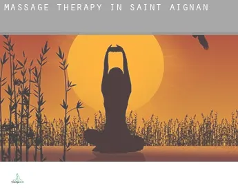 Massage therapy in  Saint-Aignan
