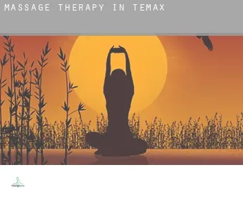 Massage therapy in  Temax