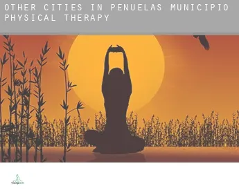 Other cities in Penuelas Municipio  physical therapy