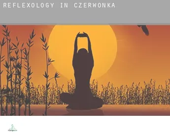 Reflexology in  Czerwonka
