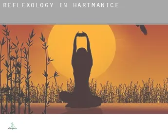 Reflexology in  Hartmanice