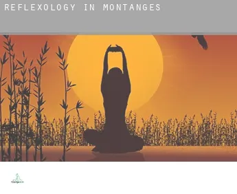 Reflexology in  Montanges