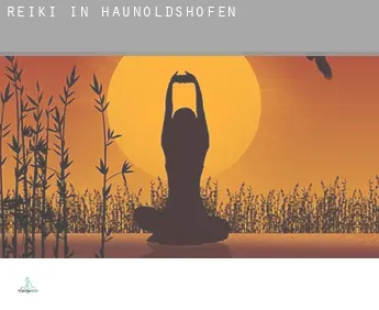 Reiki in  Haunoldshofen