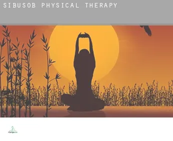 Sibusob  physical therapy