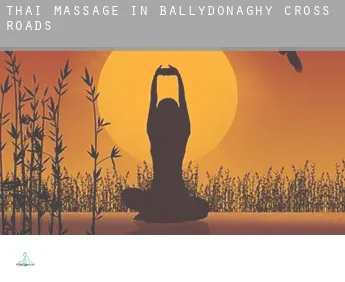 Thai massage in  Ballydonaghy Cross Roads