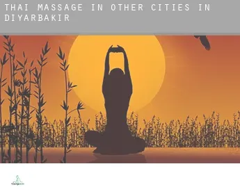 Thai massage in  Other cities in Diyarbakir