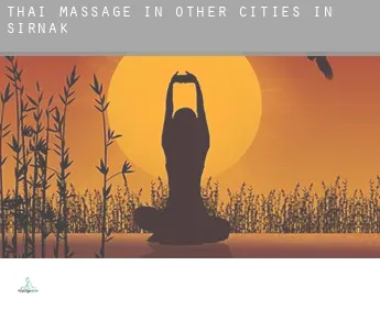 Thai massage in  Other cities in Sirnak