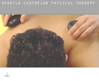 Apaxtla de Castrejón  physical therapy