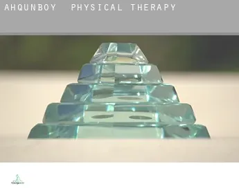 Ahqunboy  physical therapy