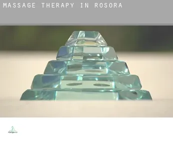 Massage therapy in  Rosora