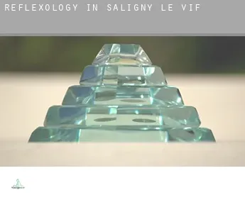 Reflexology in  Saligny-le-Vif