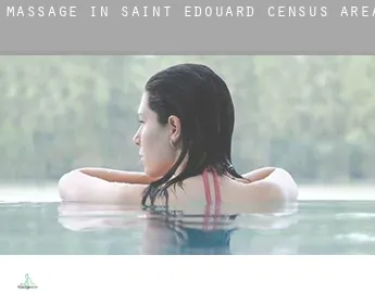 Massage in  Saint-Édouard (census area)