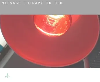 Massage therapy in  Oeo