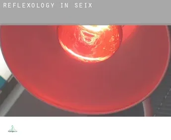 Reflexology in  Seix