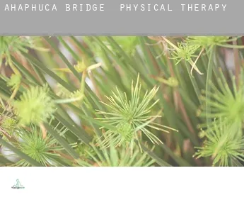 Ahaphuca Bridge  physical therapy