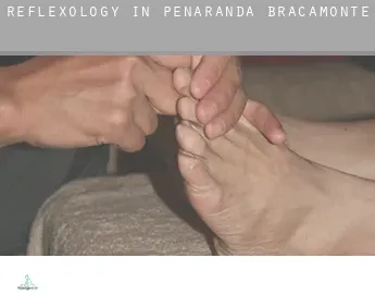 Reflexology in  Peñaranda de Bracamonte