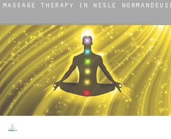 Massage therapy in  Nesle-Normandeuse