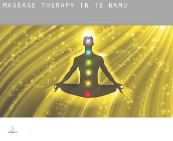 Massage therapy in  Te Namu