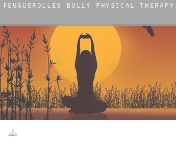 Feuguerolles-Bully  physical therapy