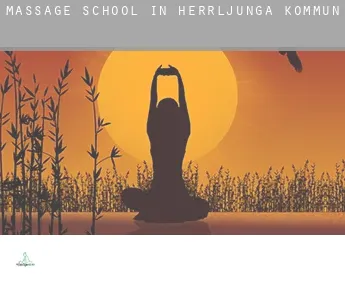 Massage school in  Herrljunga Kommun