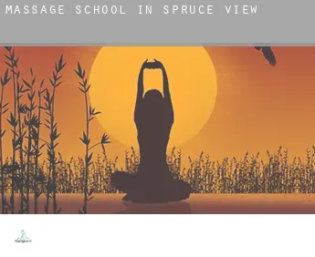 Massage school in  Spruce View