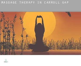 Massage therapy in  Carroll Gap