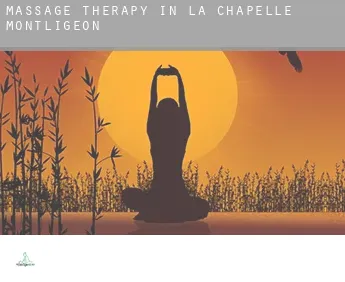 Massage therapy in  La Chapelle-Montligeon