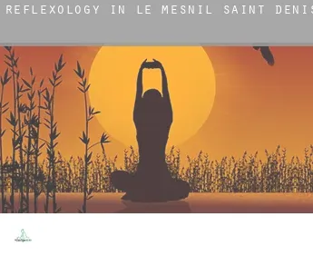 Reflexology in  Le Mesnil-Saint-Denis