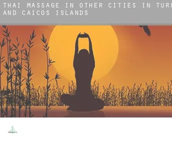 Thai massage in  Other cities in Turks and Caicos Islands