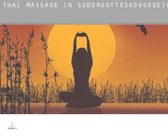 Thai massage in  Südergotteskoogsdeich