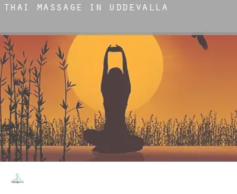 Thai massage in  Uddevalla